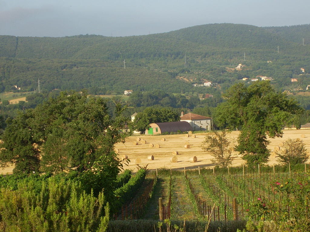 Agriturismo Regno Verde Narni Exterior foto