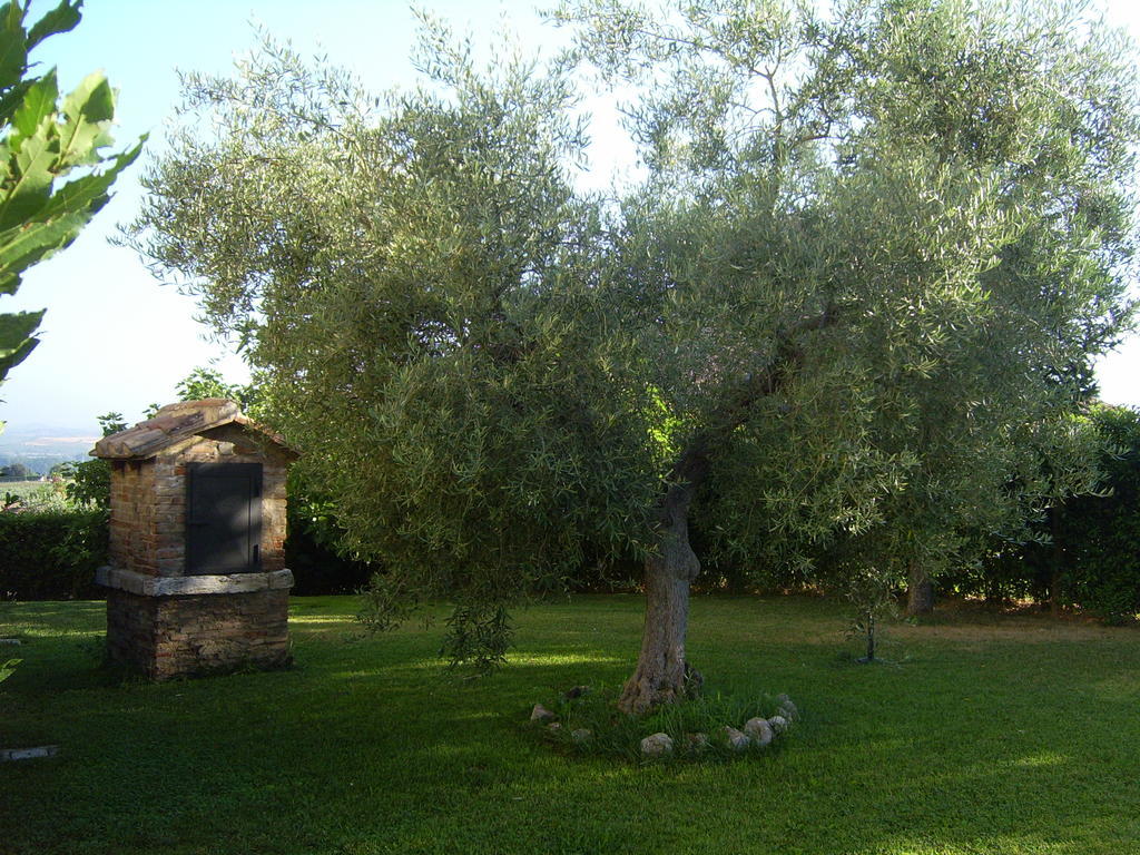 Agriturismo Regno Verde Narni Exterior foto